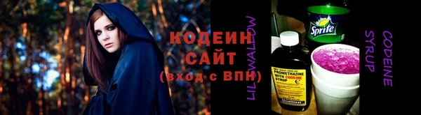 гашик Переславль-Залесский