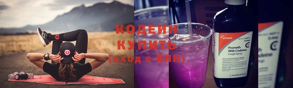 гашик Переславль-Залесский