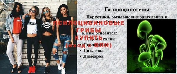 прущий лед Пестово