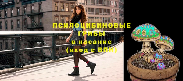 прущий лед Пестово