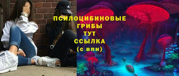 мдпв Пересвет