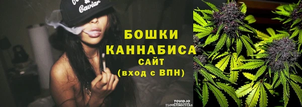 мдпв Пересвет