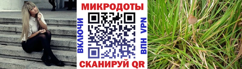 Псилоцибиновые грибы ЛСД  omg рабочий сайт  Тула 