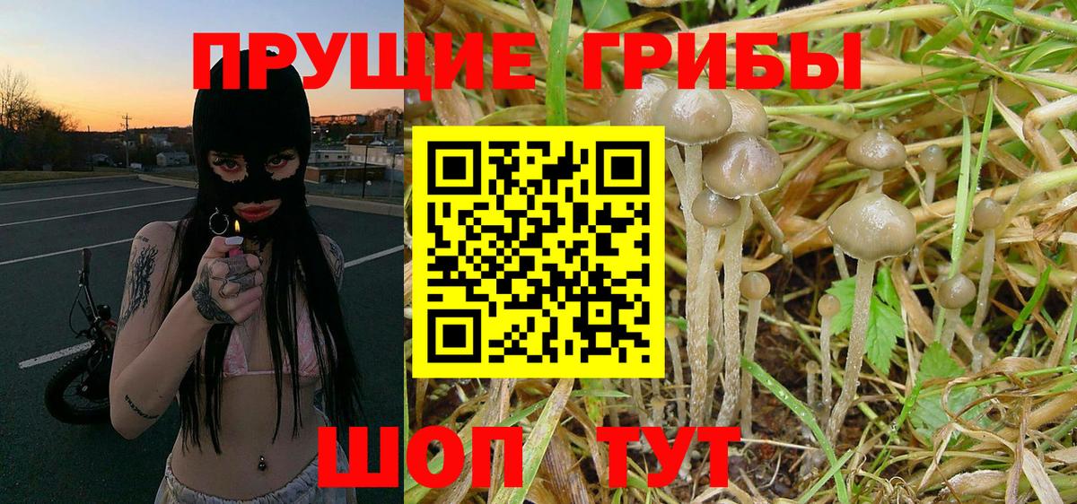 Псилоцибиновые грибы GOLDEN TEACHER  Псилоцибиновые грибы Magic Shrooms  Вход с VPN  Тула 