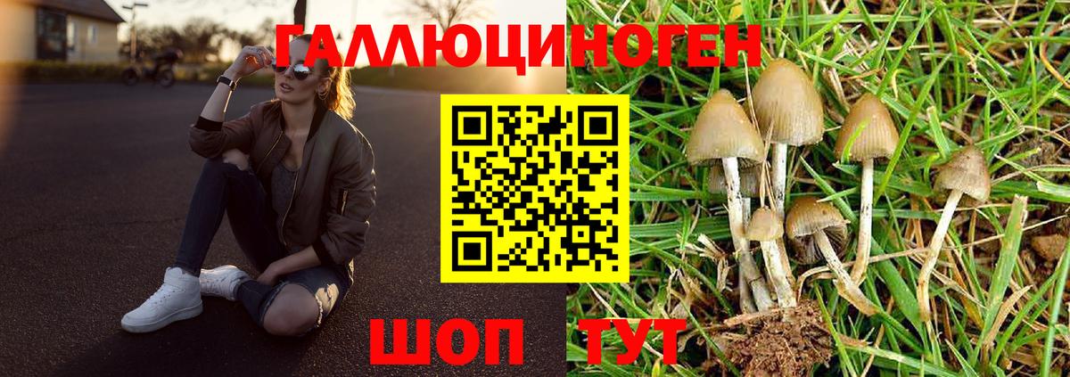 Псилоцибиновые грибы Magic Shrooms Тула